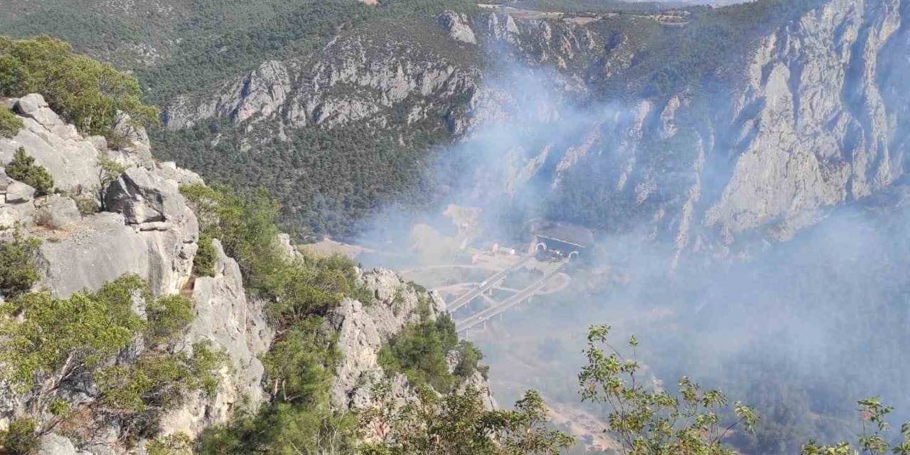Bilecik’te Orman Yangını