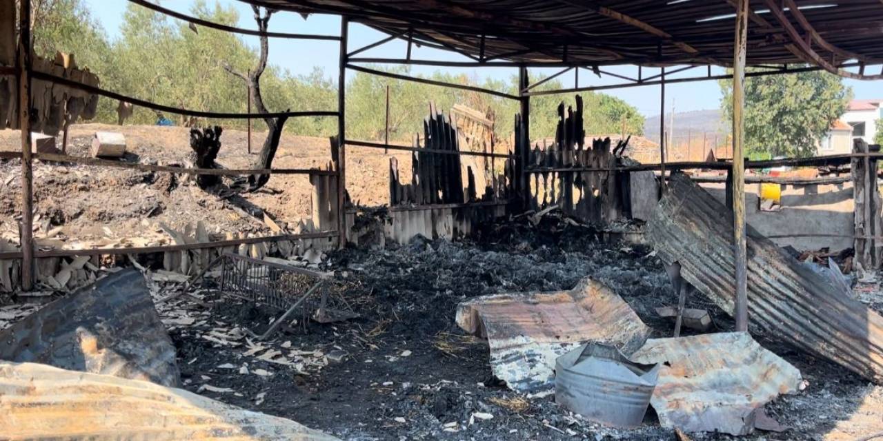 Hayvanlarını Kurtarmak İsterken Yaralandı