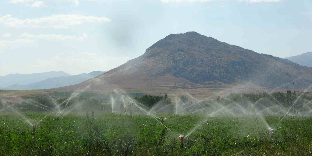 Coğrafi İşaretli Tufanbeyli Fasulyesi Eken Çiftçilerin Zorlu Mücadelesi
