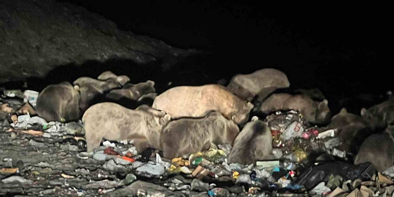 Kars’ta Belgeselleri Aratmayan Görüntüler