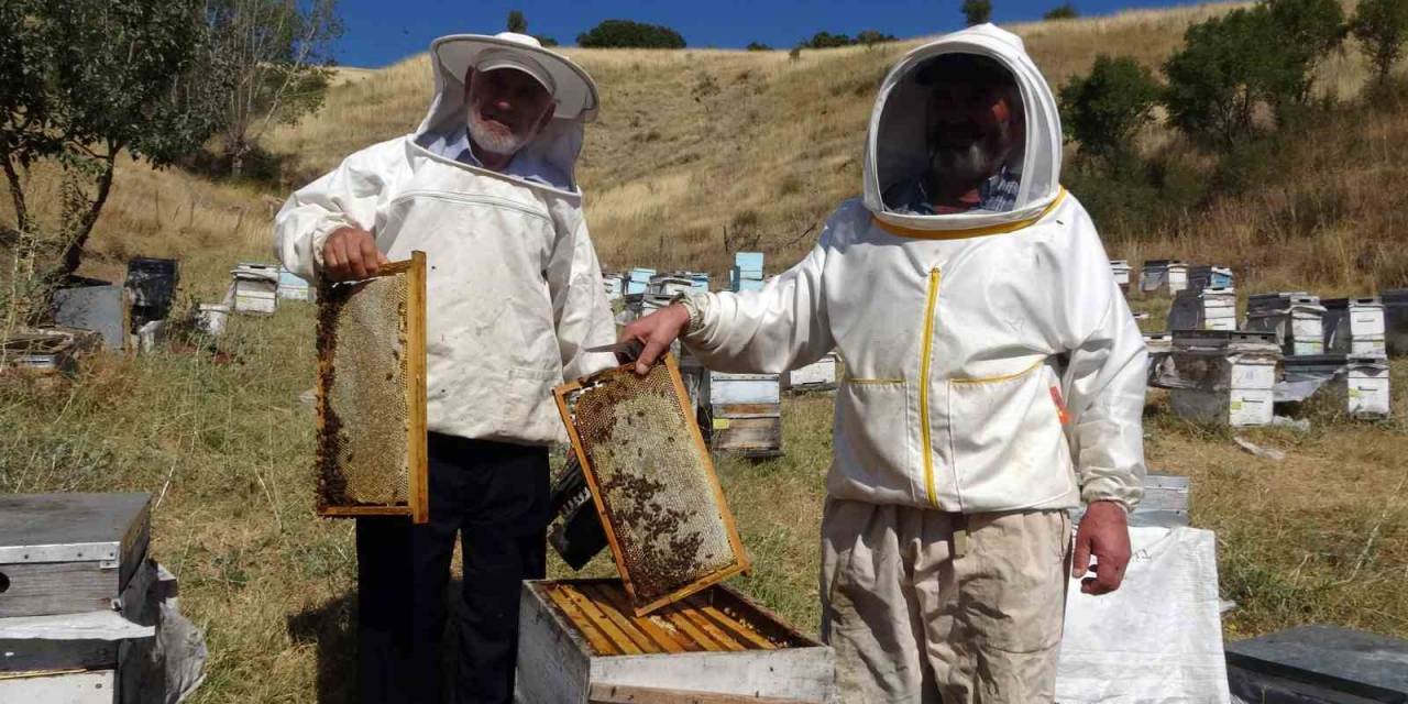 Yozgat’ta ‘Tatlı’ Telaş Bir Ay Geç Başladı