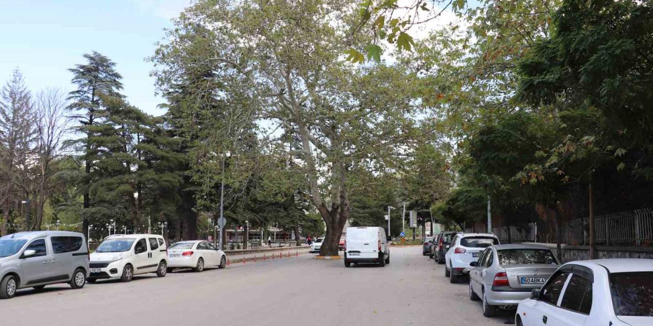 Yolun Ortasında Kaldı, Tokatlıların Buluşma Noktası Oldu