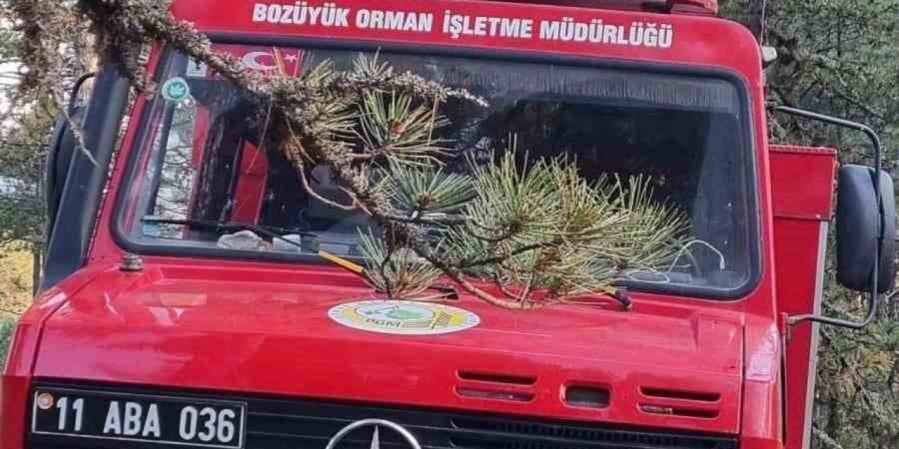 Orman Yangını Büyümeden Söndürüldü