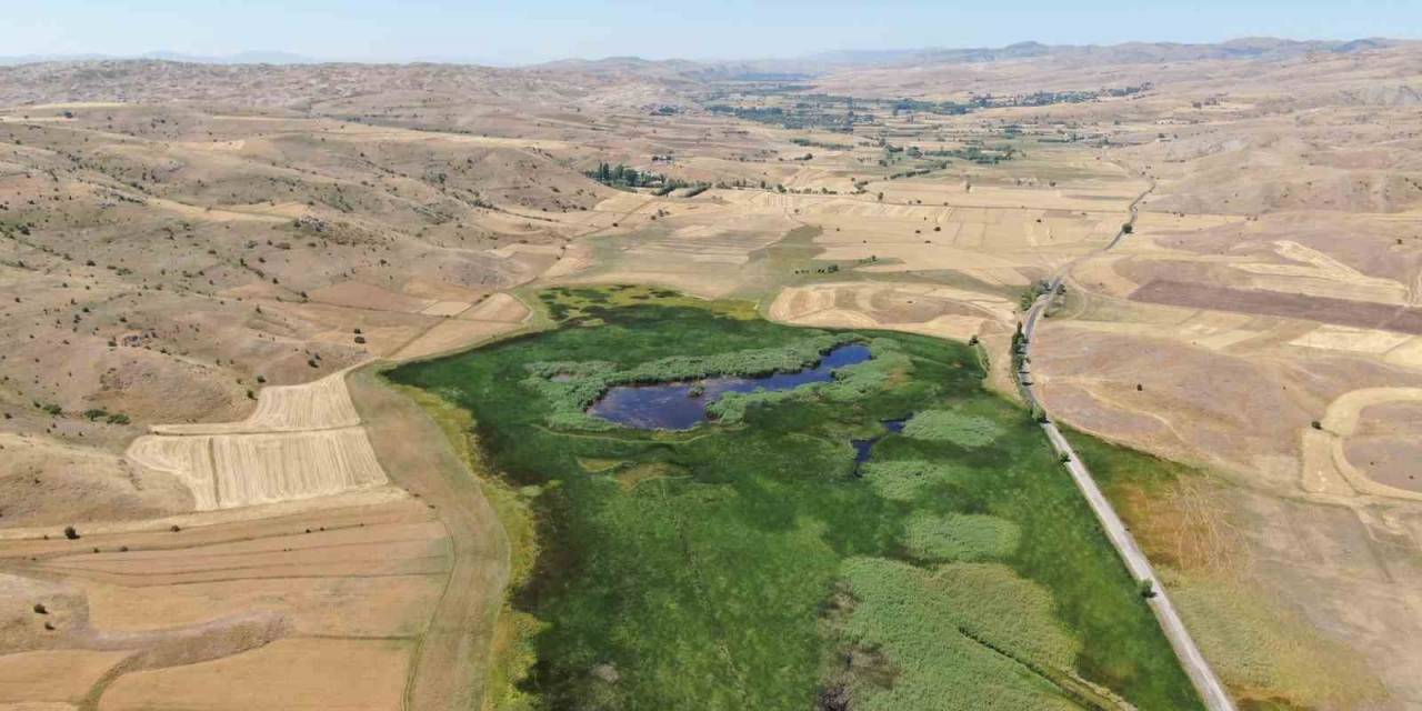 Koruma Altındaki Doğa Harikası Göl Yeniden Maden Tehdidi Altında