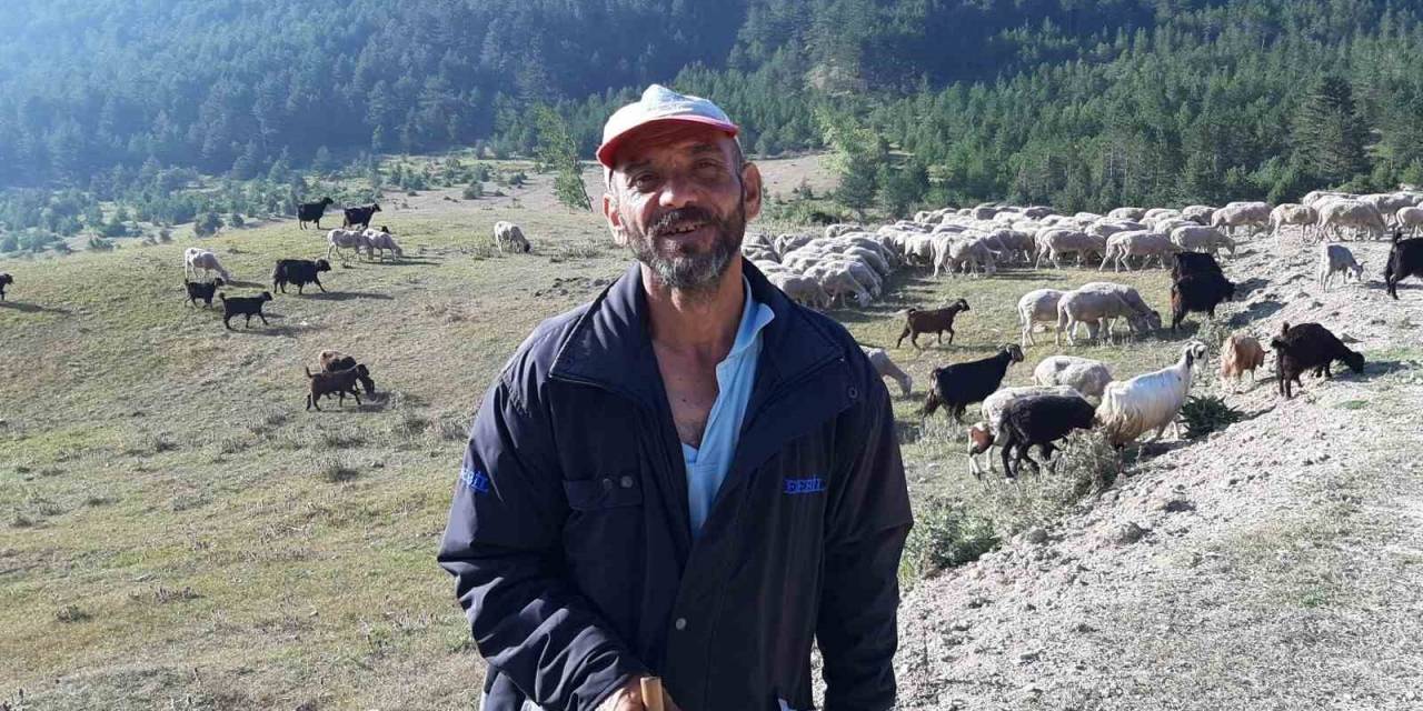 Bartın’dan Çobanlık İçin Bolu’ya Geldi