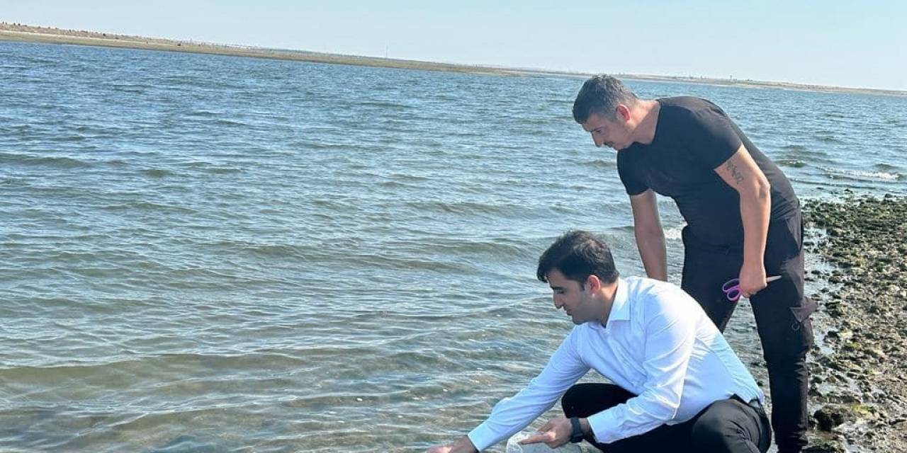 Enez Ve İpsala’da 410 Bin Yavru Sazan Su İle Buluştu