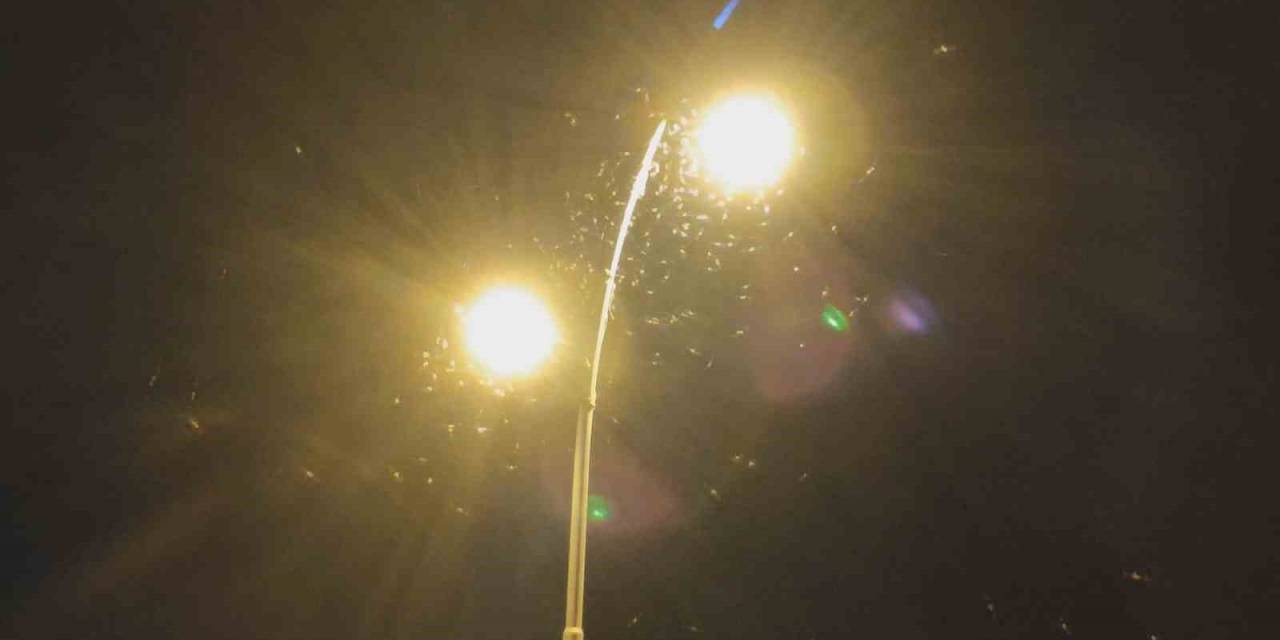 Ardahan’da ’bir Günlükler’in ’ölüm Uçuşu’ Sona Erdi