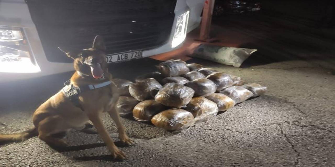 Osmaniye’de Arpa Yüklü Tırda 40 Kilo Skunk Ele Geçirildi