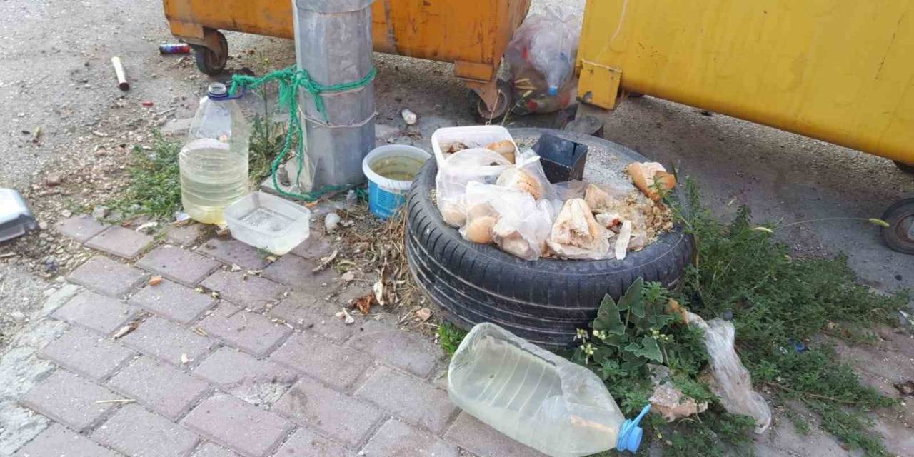 Vatandaşlar Kötü Koku İçin Hayvan Severlere İsyan Etti