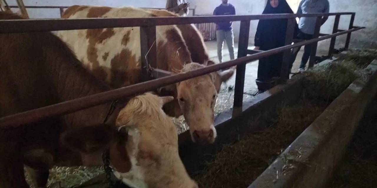 Kırsal ’uzman Eller’ İle Kalkınıyor