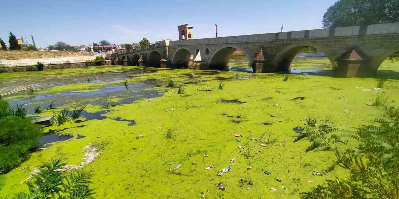 Edirne’de Tunca Nehri Kirlilikten Yeşile Büründü