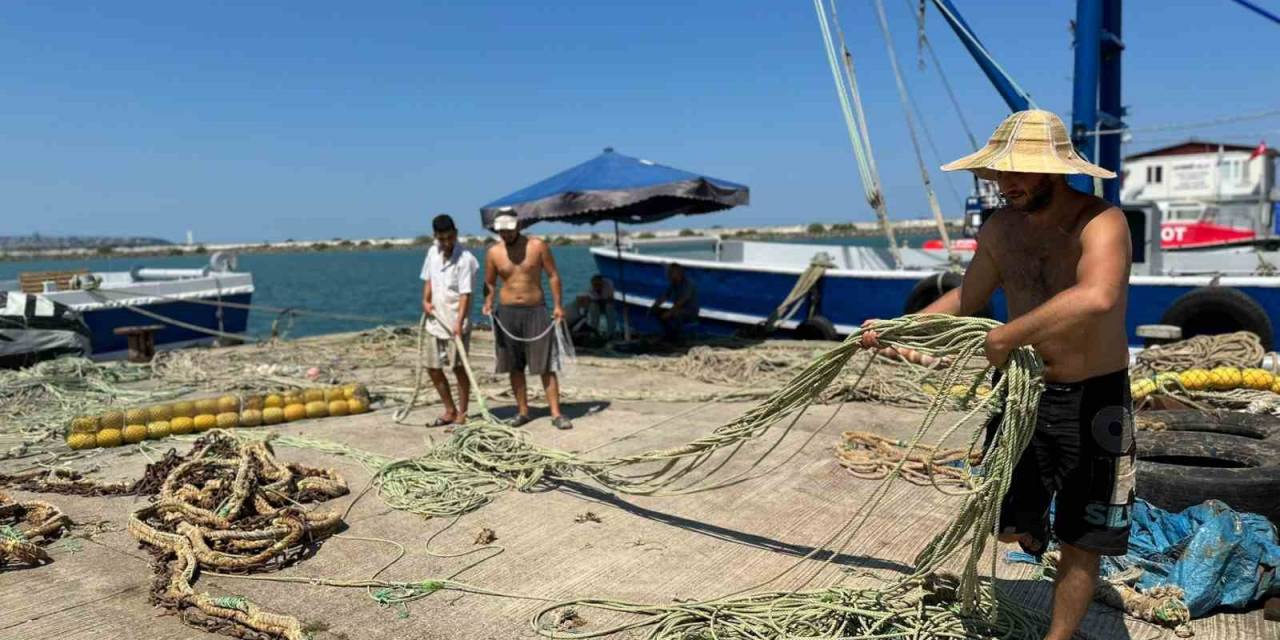 ’bu Sene Denizde Mezgit Ve Hamsi Var’
