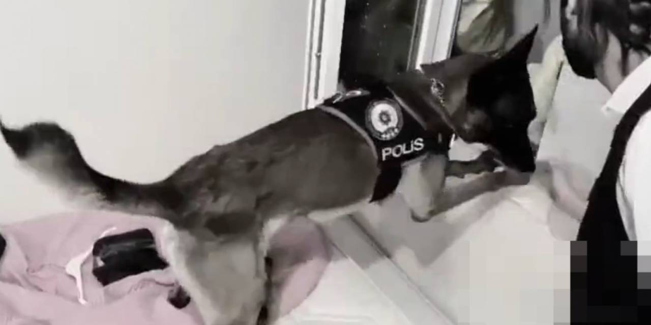Şanlıurfa’da Narkotik Köpeği Uyuşturucuya Geçit Vermedi
