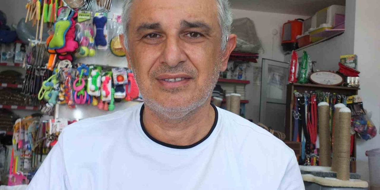 Balıkesir’de Briç Festivalleri Başladı