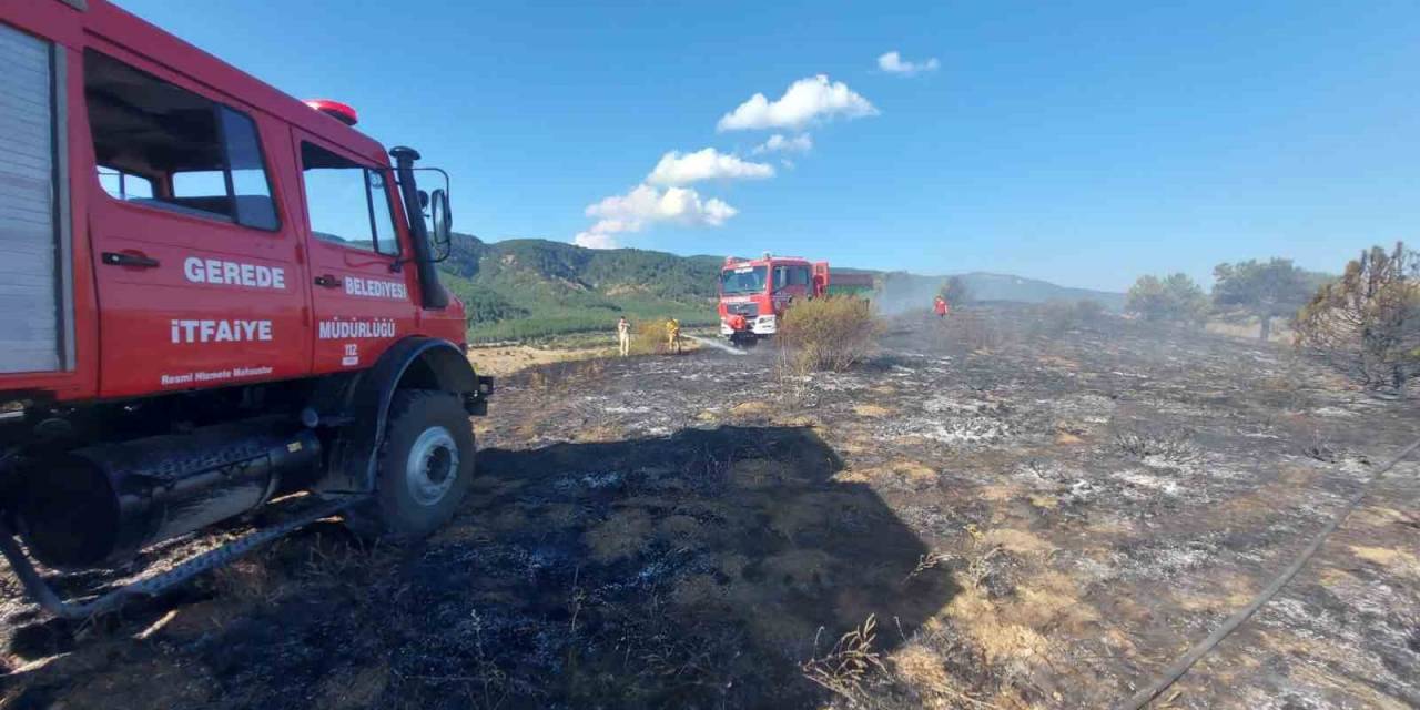 5 Dönümlük Otluk Arazi Küle Döndü
