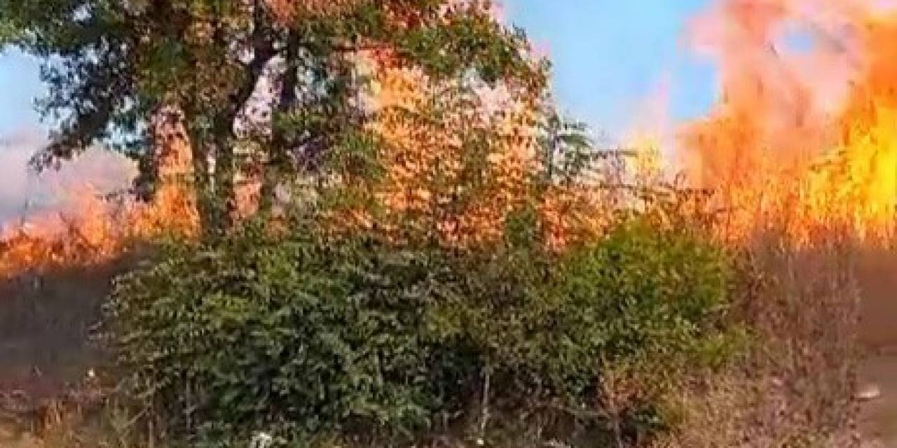 Otluk Alanda Çıkan Yangın Korkuttu
