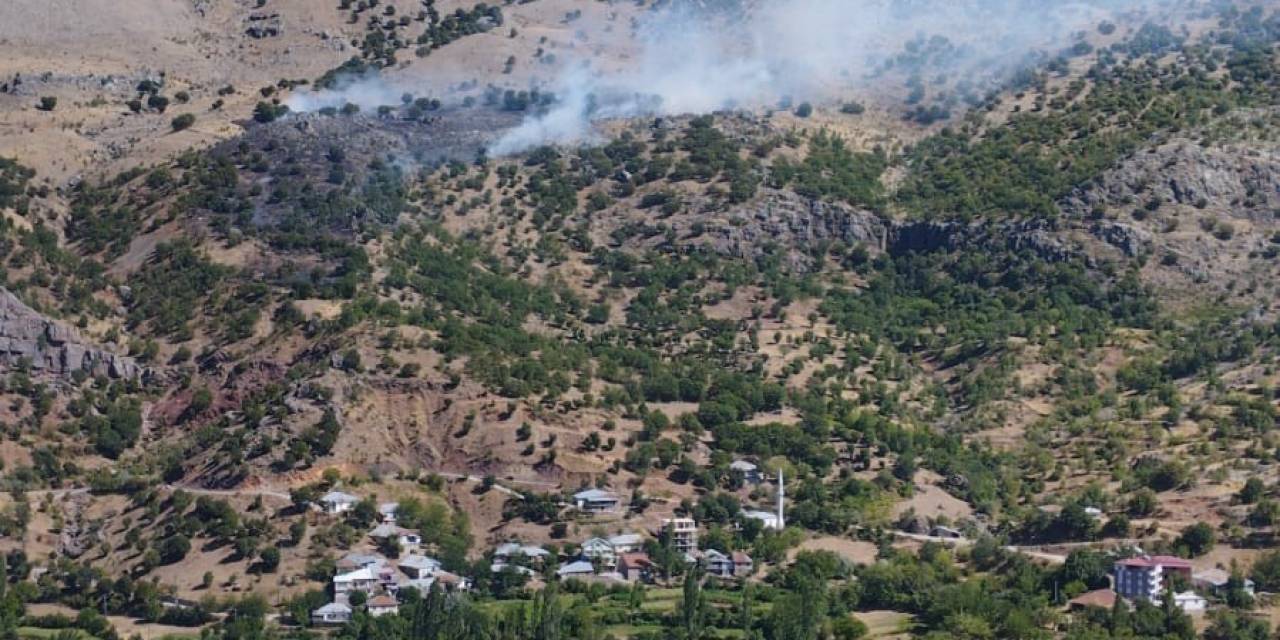 Malatya’da Orman Yangını, 1 Yaralı
