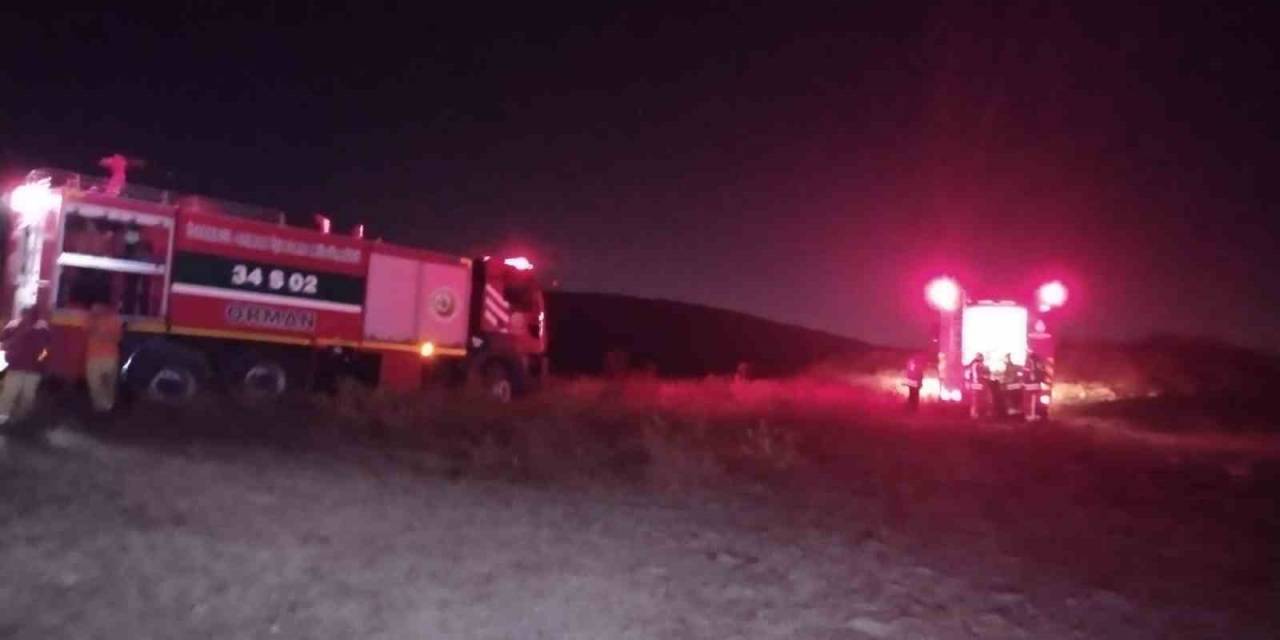 Maltepe’de Çıkan Orman Yangını Kontrol Altına Alındı, 3 Hektar Alan Zarar Gördü