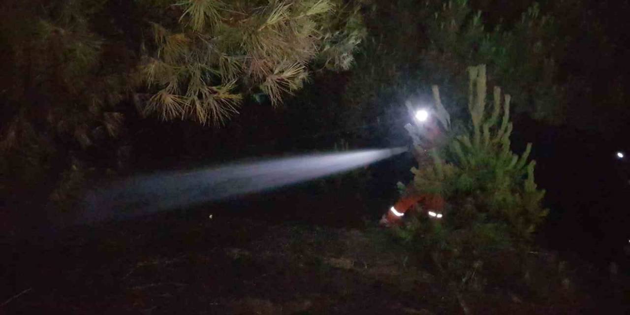 Karabük’te Korkutan Örtü Yangını