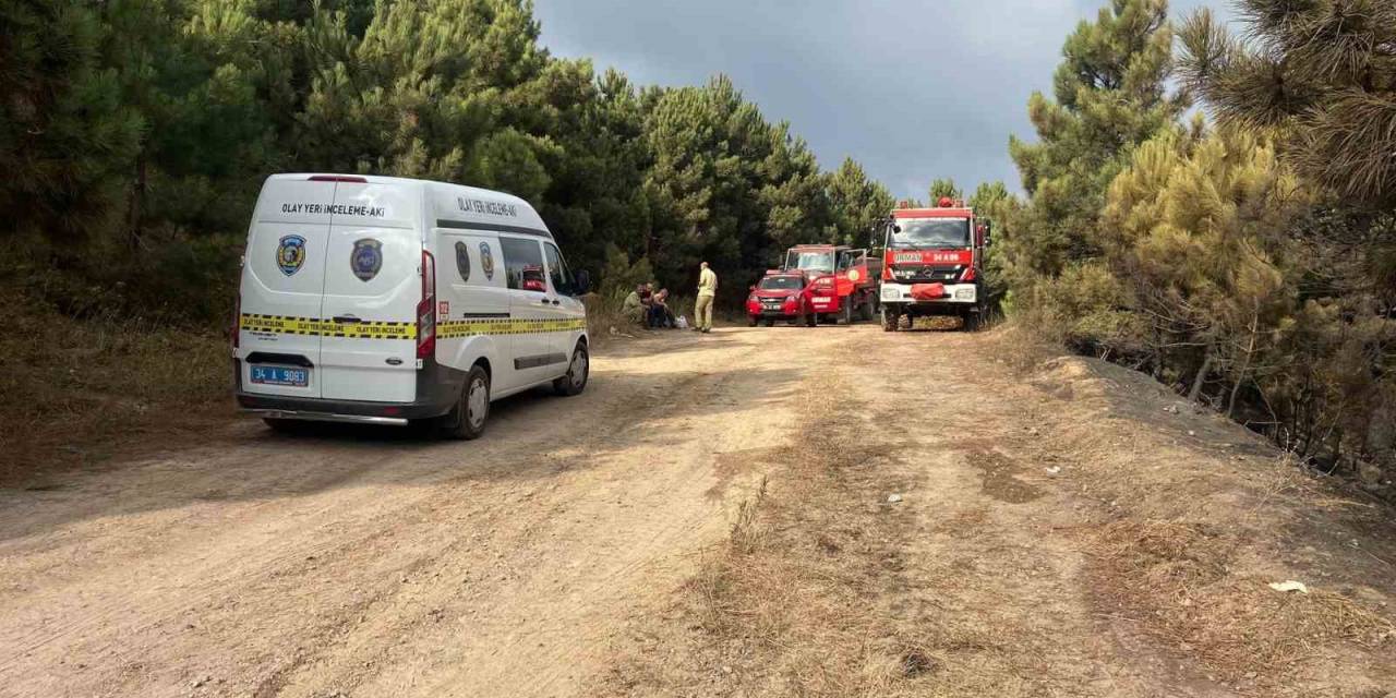 Maltepe’de Çıkan Orman Yangınında Hasarın Boyutu Gün Ağarınca Ortaya Çıktı