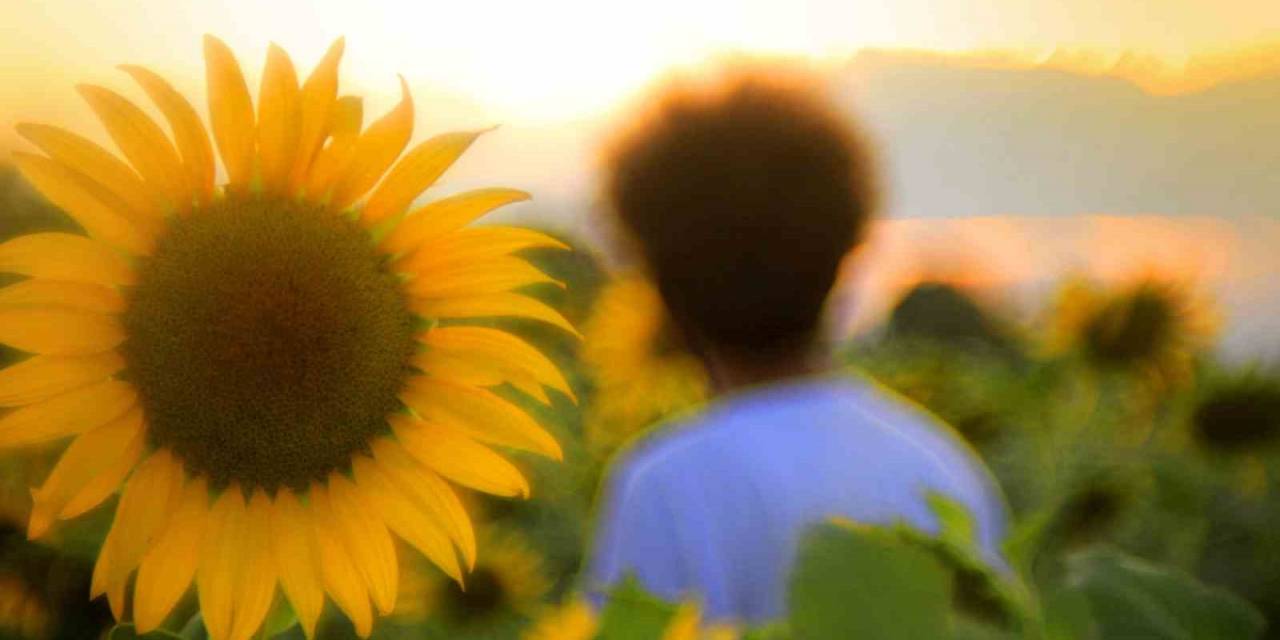 Trakya Değil Yüksekova