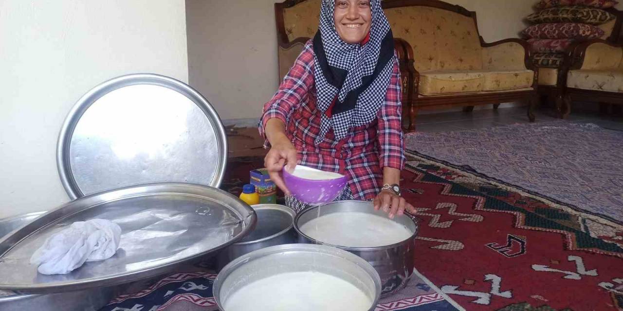 Köyünde Yaptığı Peynir Geçim Kaynağı Oldu