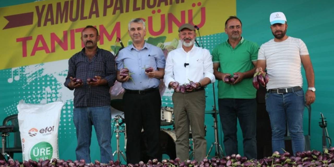 Yamula Patlıcan Festivali’ne 10 Binlerce Kişi Katıldı