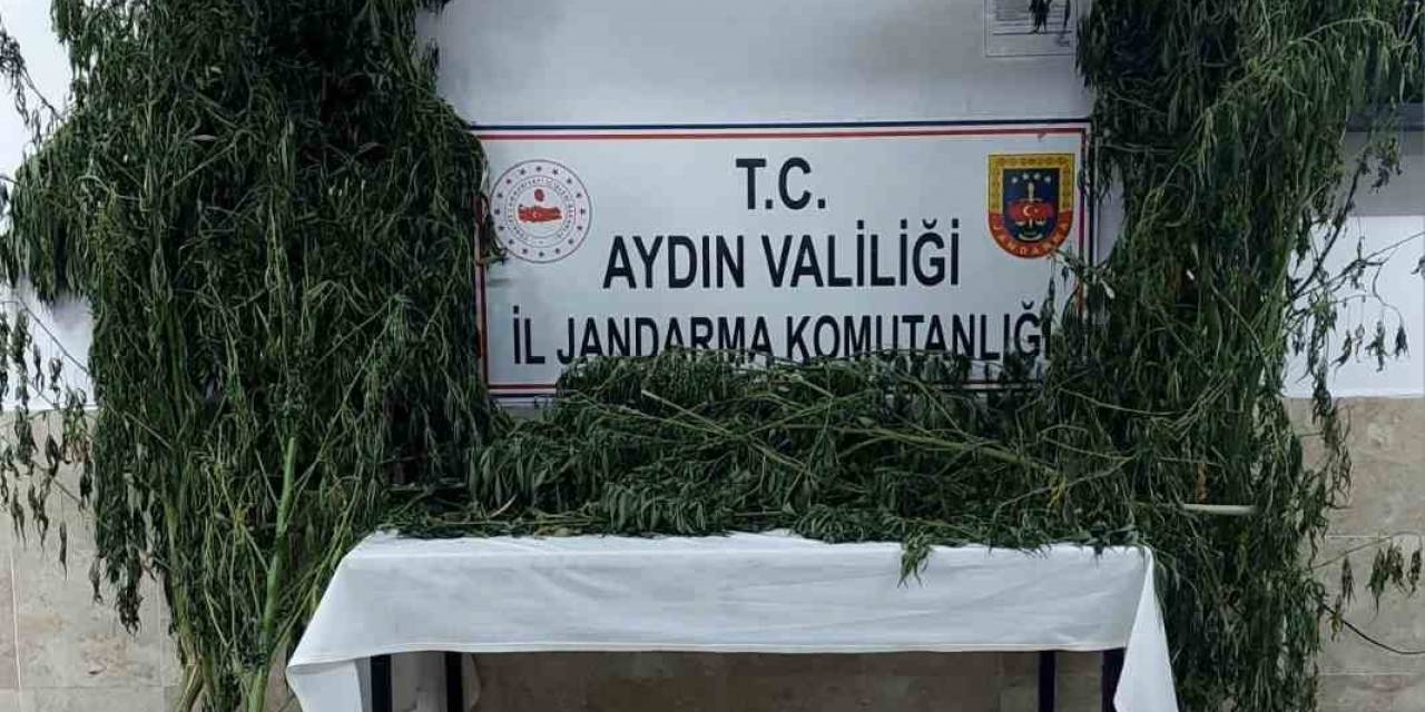 Nazilli’de Uyuşturucu Operasyonu