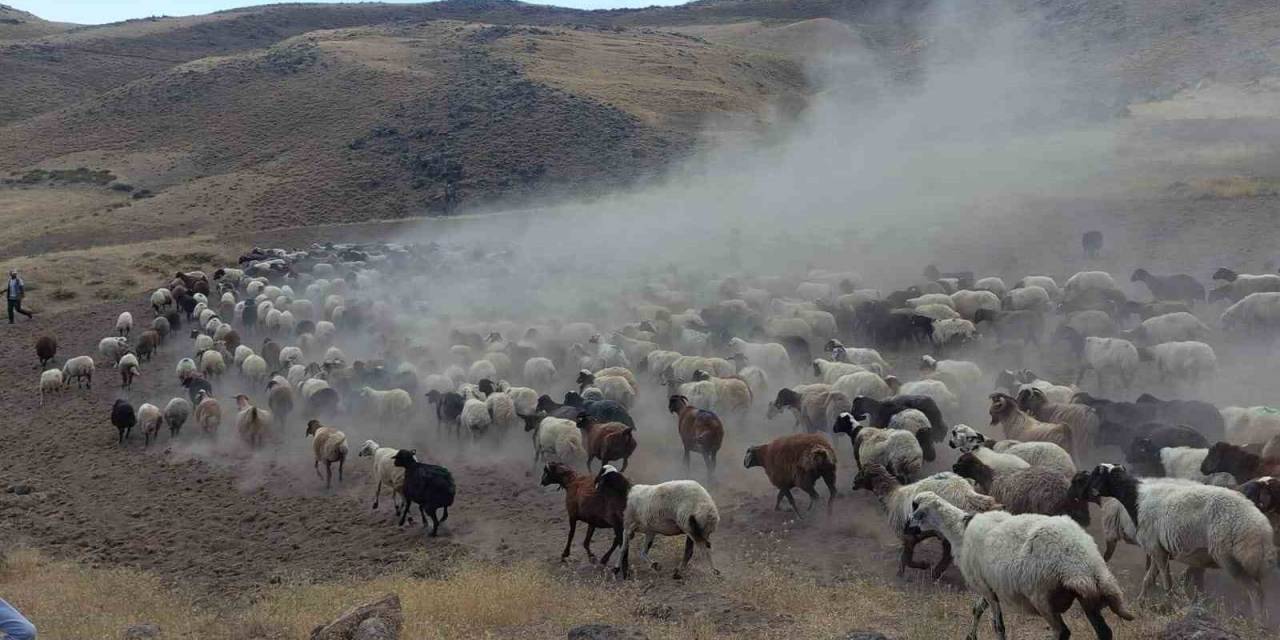 Süphan Dağı Eteklerin Tozlu Ve Zorlu Yolculuk