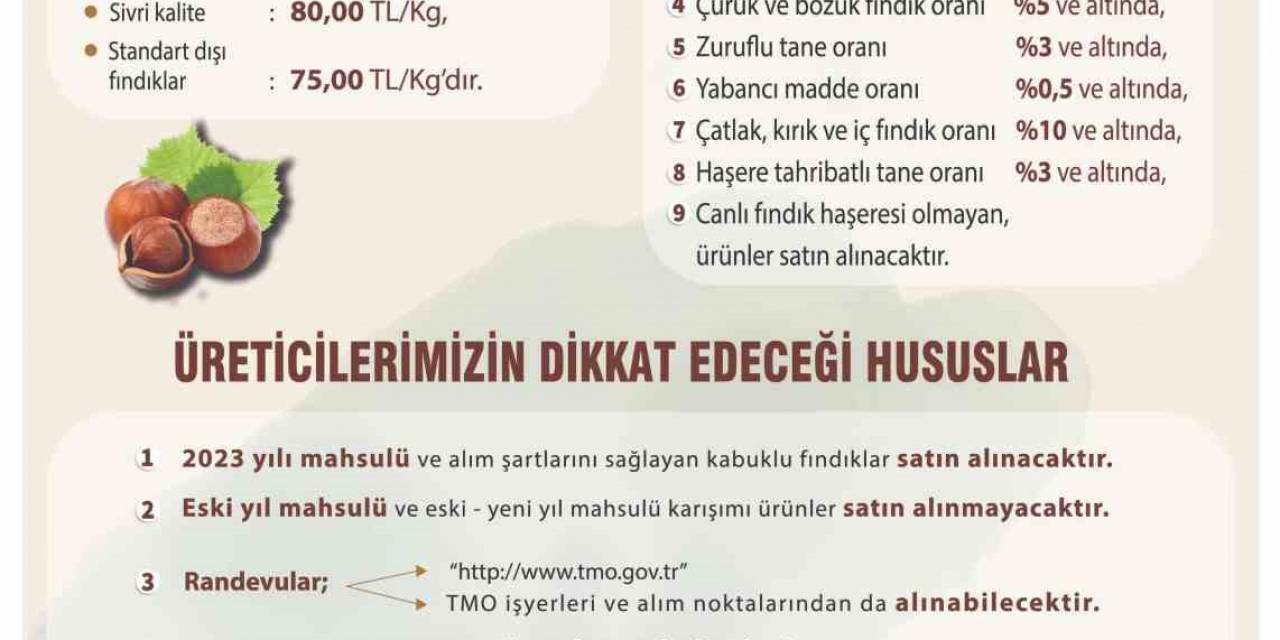 Toprak Mahsulleri Ofisi 2023 Yılı Kabuklu Fındık Alımları Başladı