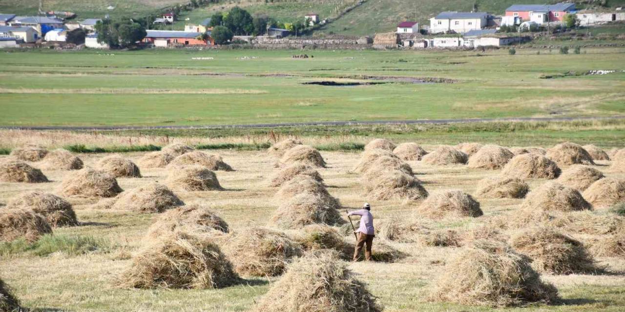 30 Derece Sıcaklıkta Çiftçilerin Zorlu Mesaisi