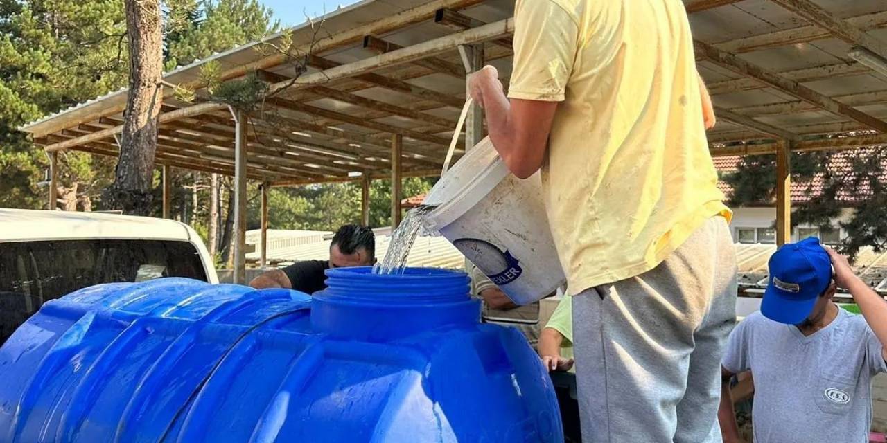 Bolu’da Yavru Pullu Sazan Balığı Üretimi Devam Ediyor