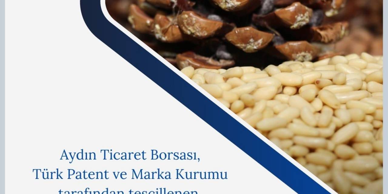 Aydın Ticaret Borsası Tarafından Tescillenen Aydın Çam Fıstığı, Ab Yolunda