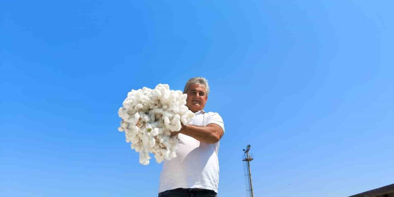 Aydın’da 420 Kiloluk Beyaz Altın, Kooperatife Teslim Edildi