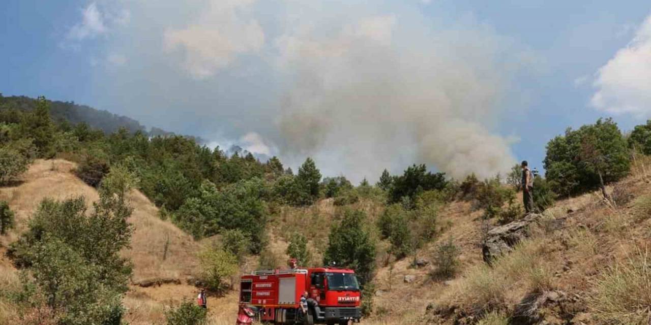 Çankırı’daki Orman Yangını Kontrol Altına Alındı