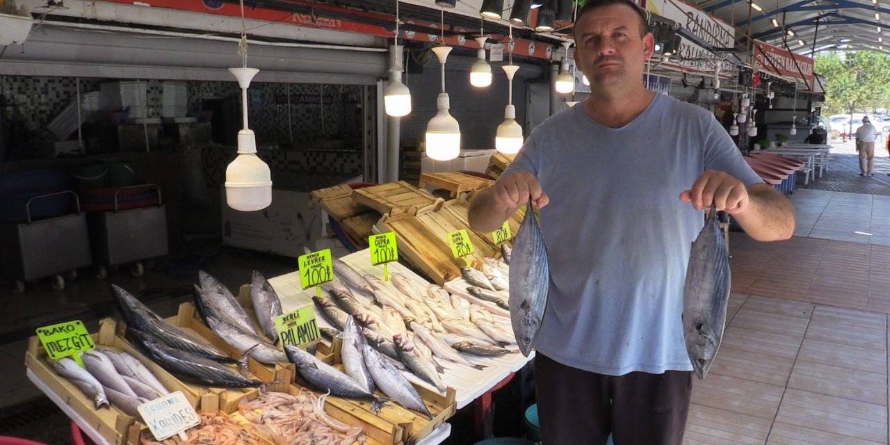 Bu Yıl Hamsi Ve Çinekop Bol Olacak