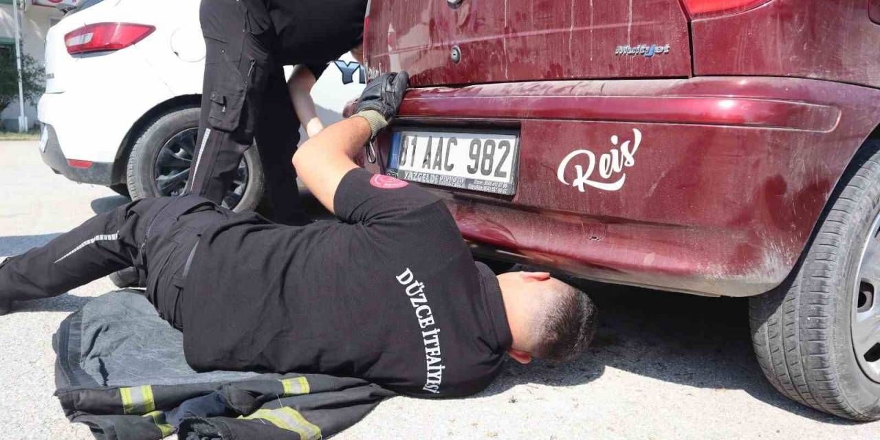 Egzoza Sıkışan Kedi Kurtarıldı