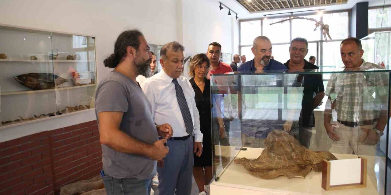 Bölgenin İlk Deniz Canlıları Müzesi Mersin’de Açılıyor
