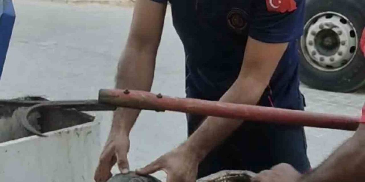 Yeraltı Çöp Konteynerine Atılan Kaplumbağayı İtfaiye Ekipleri Kurtardı