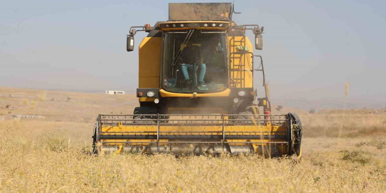 Başkan Yalçın: “Kırsala Sahip Çıkmayan, Şehri Yönetemez”