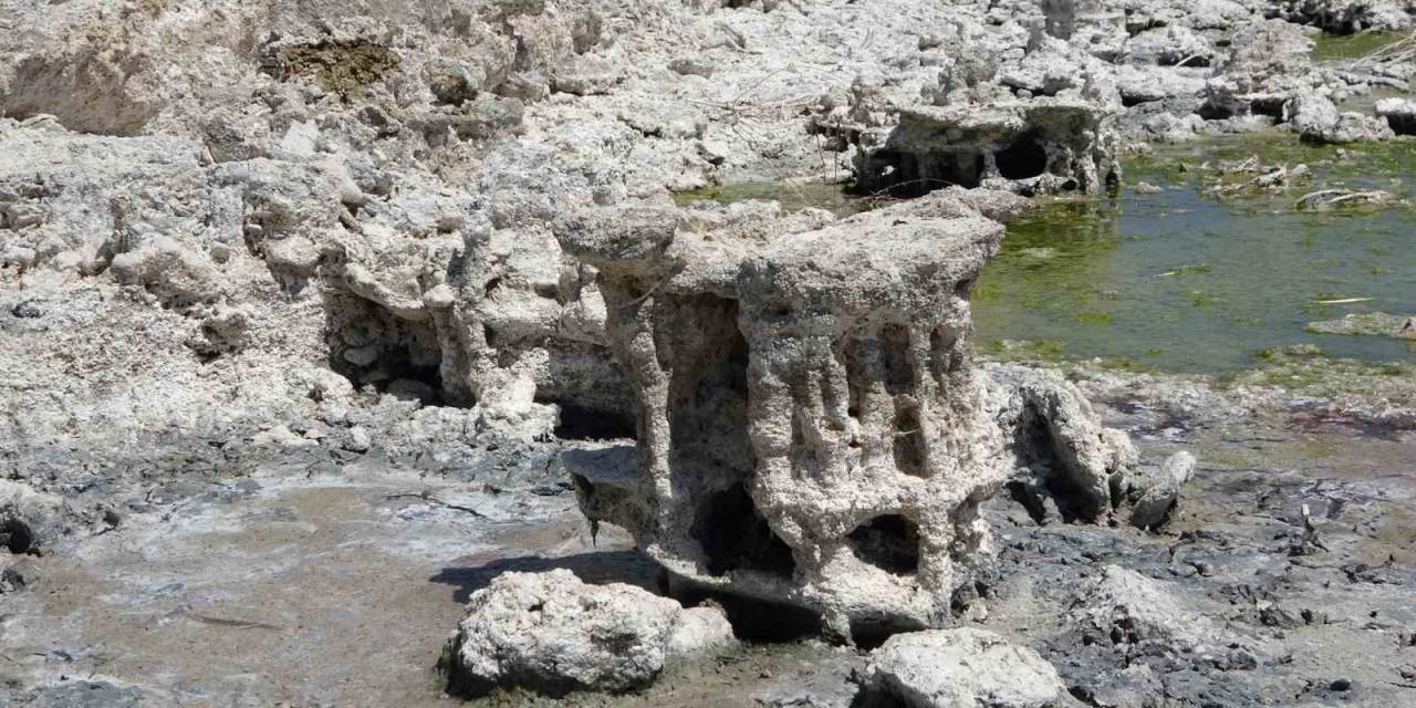 Van Gölü’nde Sular Çekilince Yeni Mikrobiyalitler Ortaya Çıktı