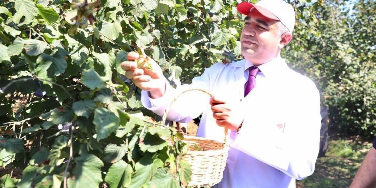 632 Bin Hektar Alanda Üretimi Yapılıyor