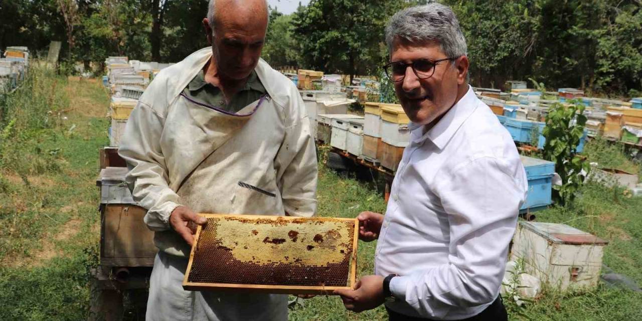 Ağrılı Arıcılar Tescilli "Geven Balı" Hasadını Sürdürüyor