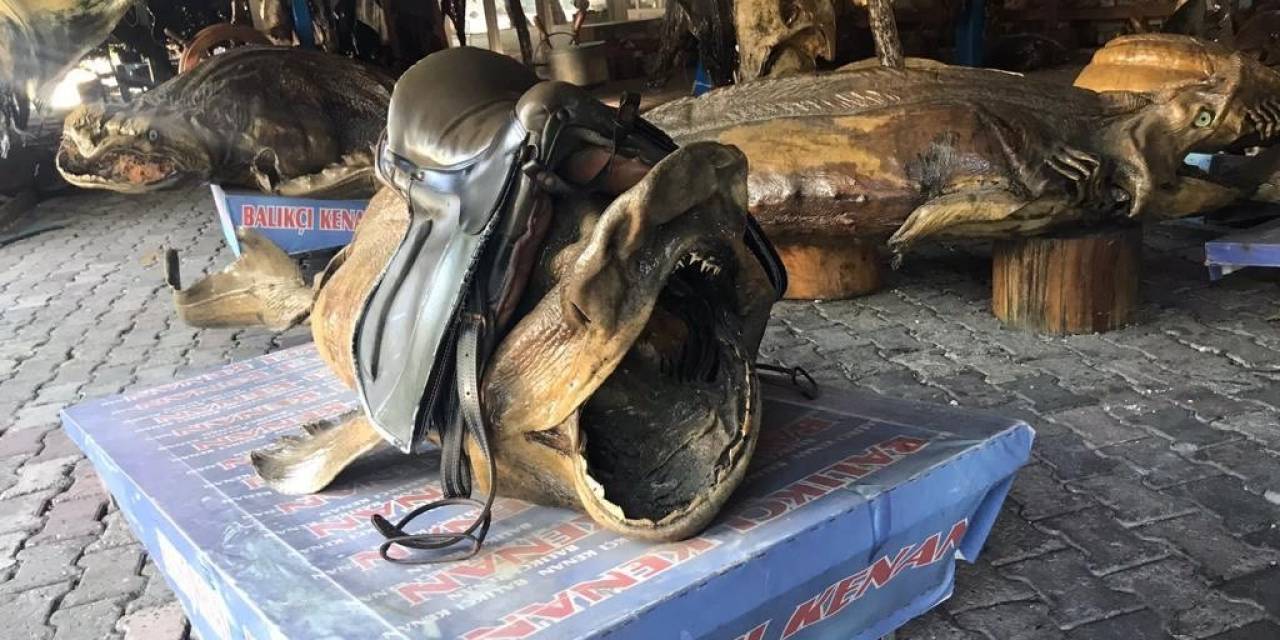 Araştırmacı Yazar İhsan Aktaş Türkiye Deniz Canlıları Müzesi’ni Ziyaret Etti