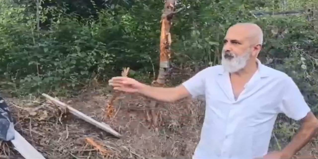 Artvin’de Tellere Takılarak Mahsur Kalan Ayı Kurtarılarak Doğaya Bırakıldı