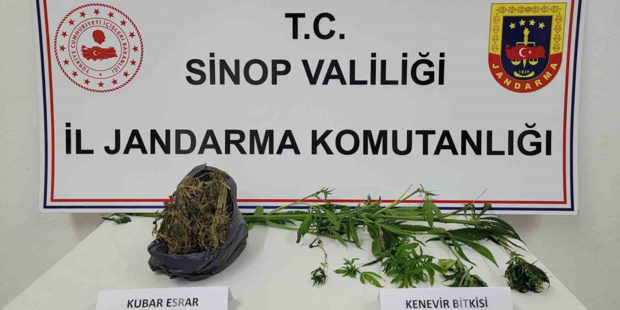 Sinop’ta Uyuşturucu Operasyonu