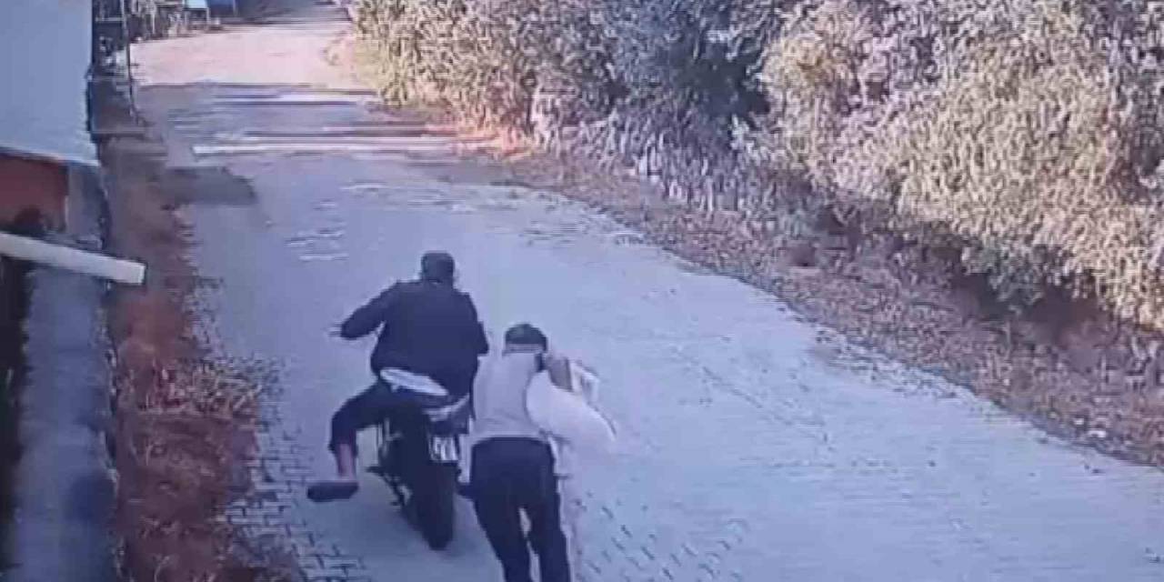 Köpeği Çalan 2 Acemi Hırsızın Motosiklet Çalışmayınca Yaşadıkları Panik Kamerada