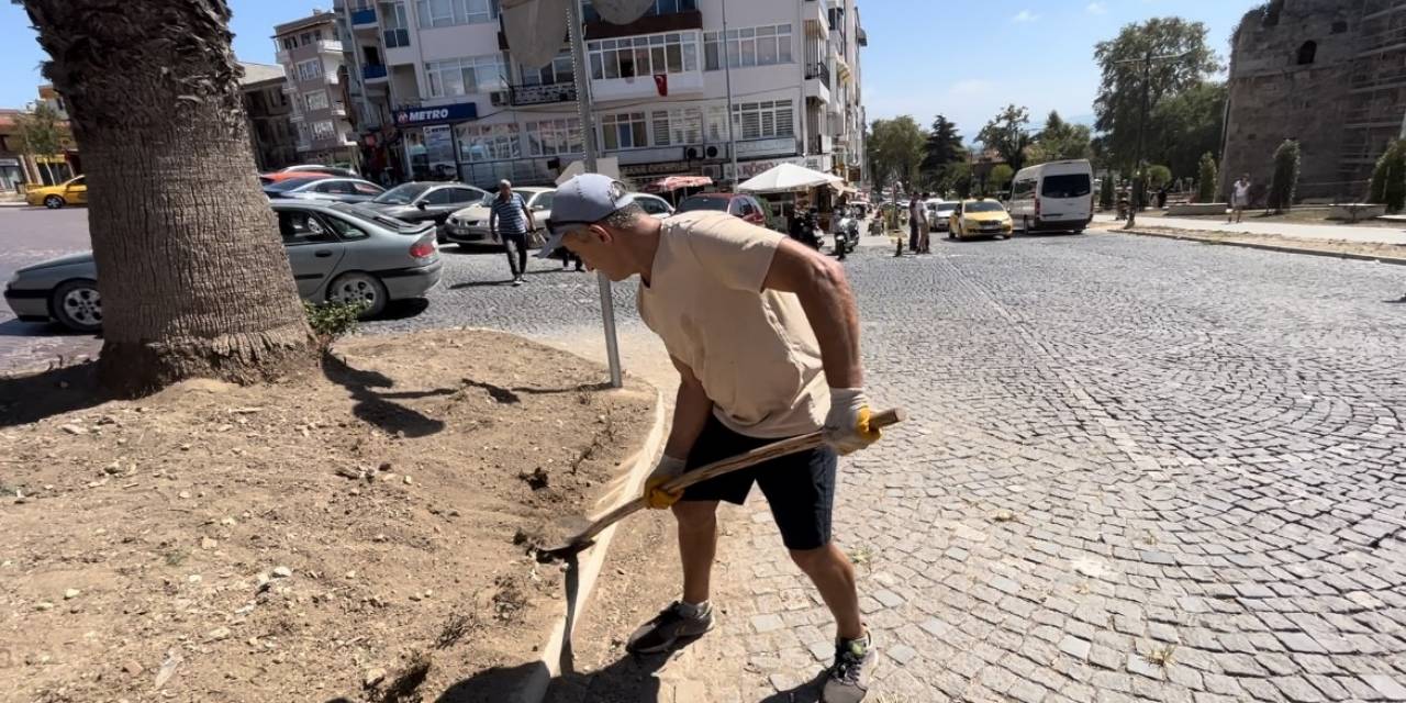 Çevre Gönüllüsünden Şehre Bakım
