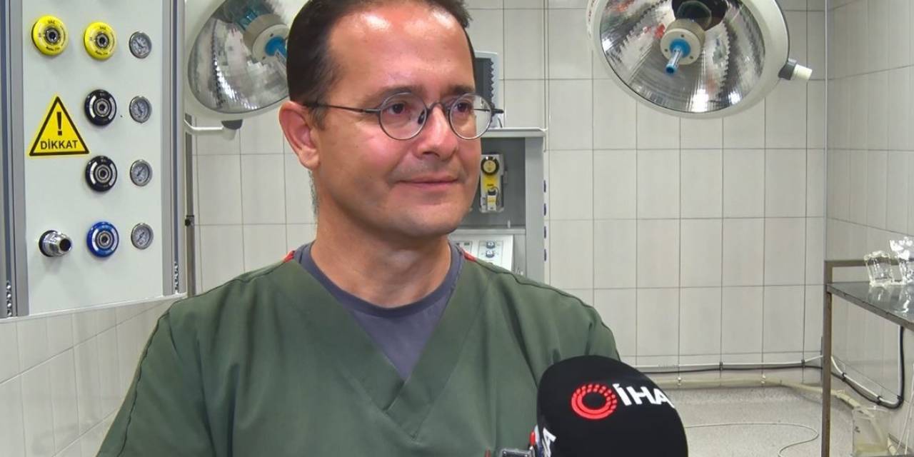 Hayvan Sahiplerinin Sıcak Havalarda Hayvanlarının Patisini Kontrol Etmesi Gerekiyor