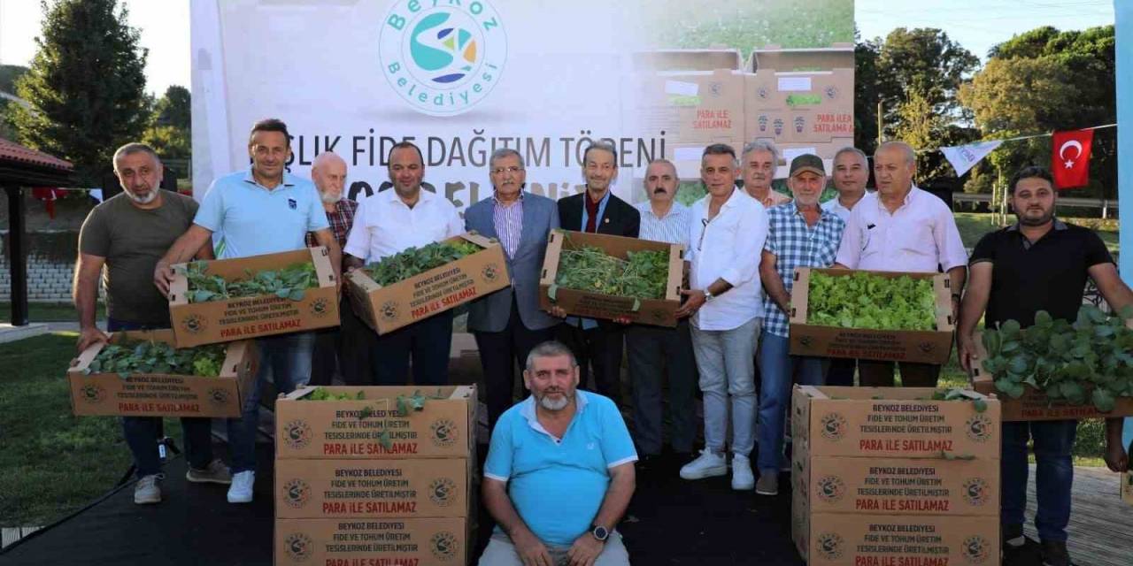Beykozlu Çiftçiye 1 Milyon Fide Desteği